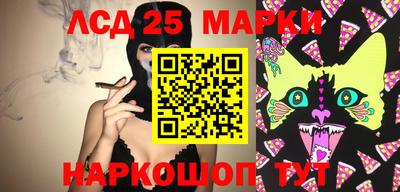 spice Волжск