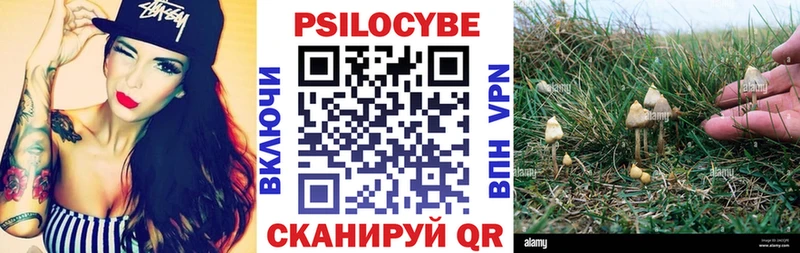 Галлюциногенные грибы Cubensis  Юрга 