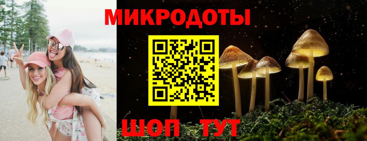 Юрга  Галлюциногенные грибы прущие грибы  Вход с VPN 