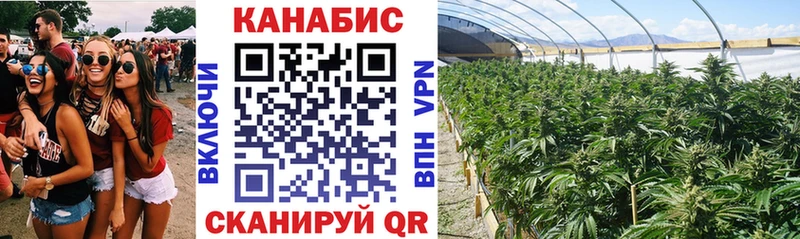 Каннабис White Widow  Юрга 